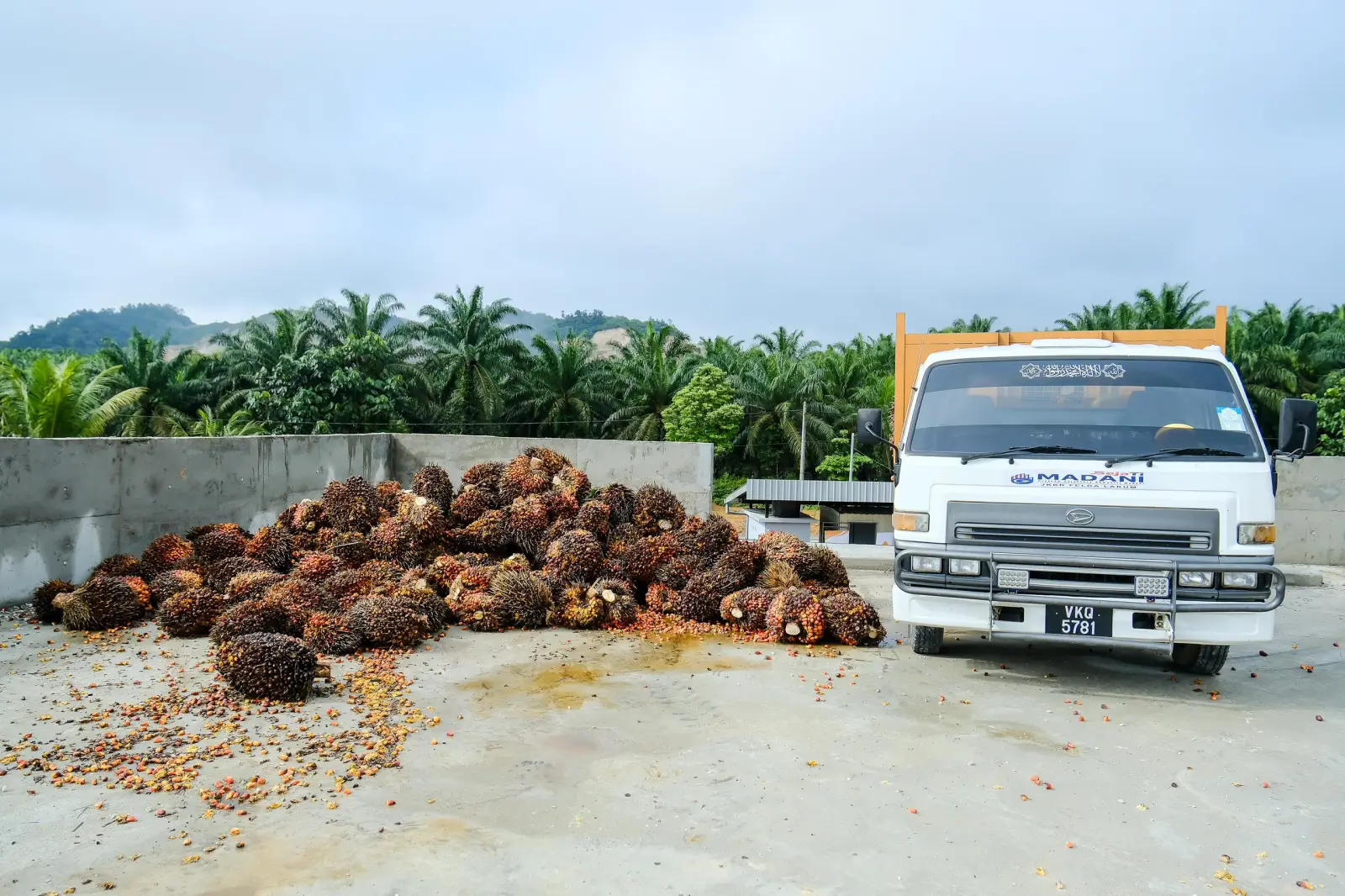 PMS buka ruang penyelesaian adil kepada peneroka FELDA